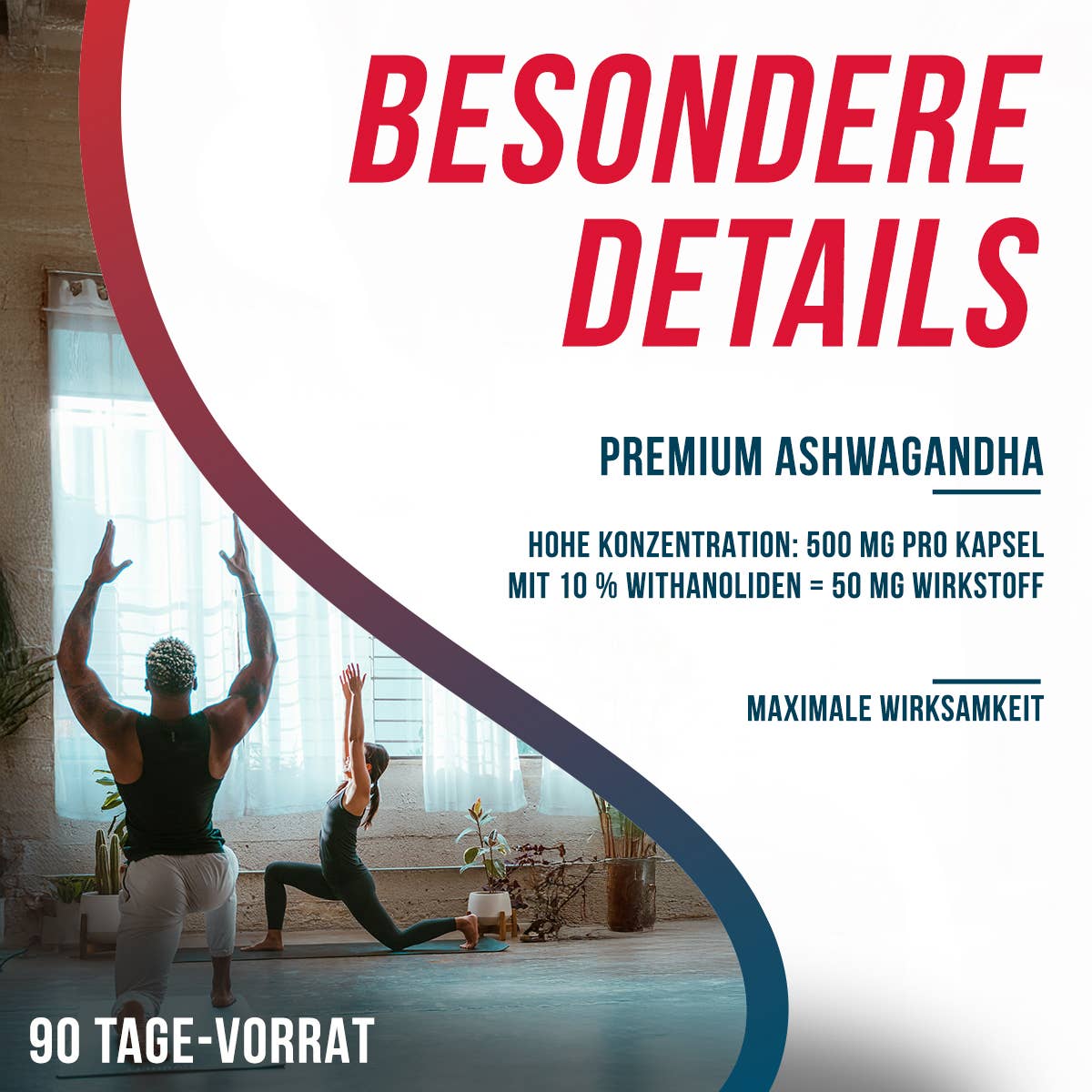 Ashwagandha Extract Premium 500 mg