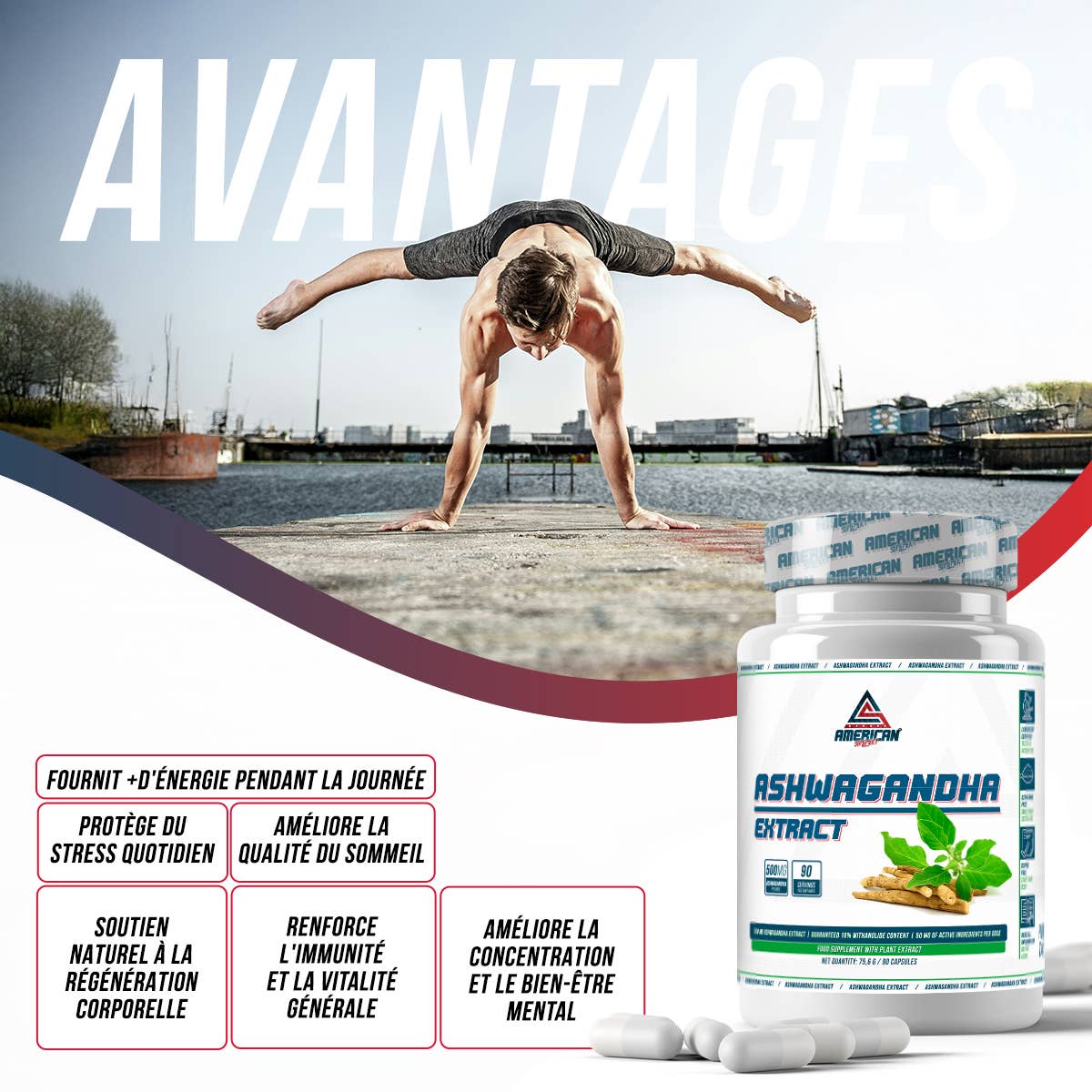 Ashwagandha Extract Premium 500 mg