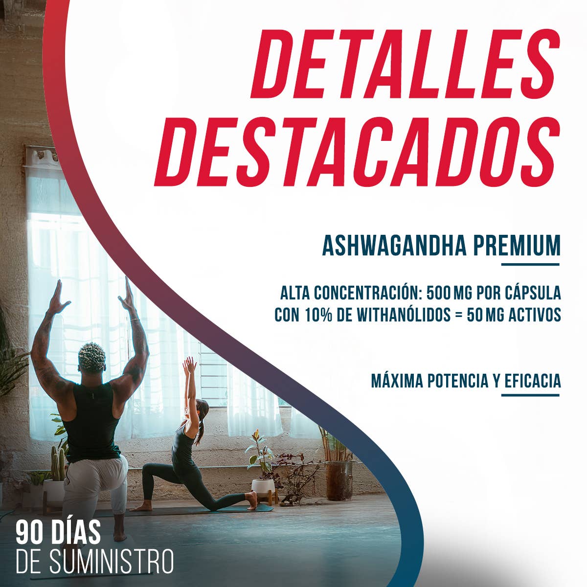 Ashwagandha Extract Premium 500 mg