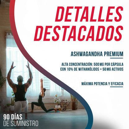 Ashwagandha Extract Premium 500 mg