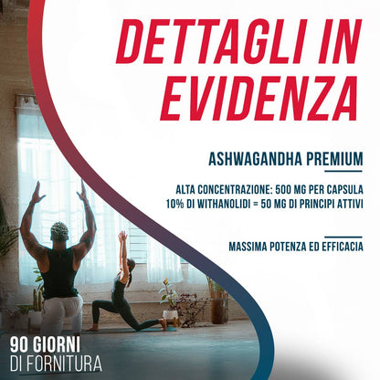 Ashwagandha Extract Premium 500 mg