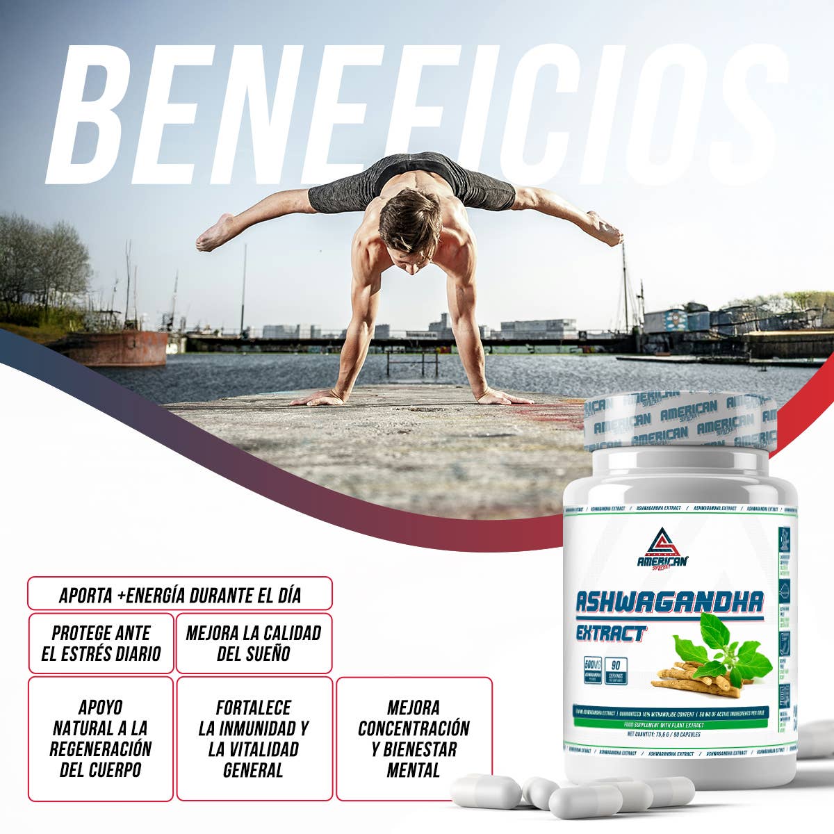 Ashwagandha Extract Premium 500 mg