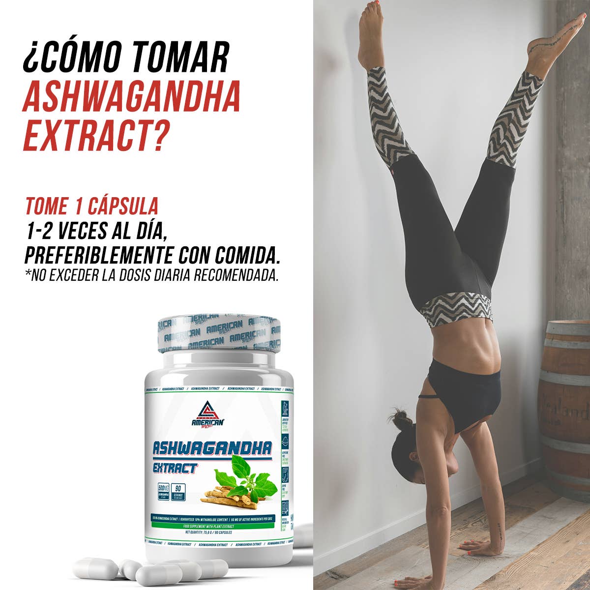 Ashwagandha Extract Premium 500 mg