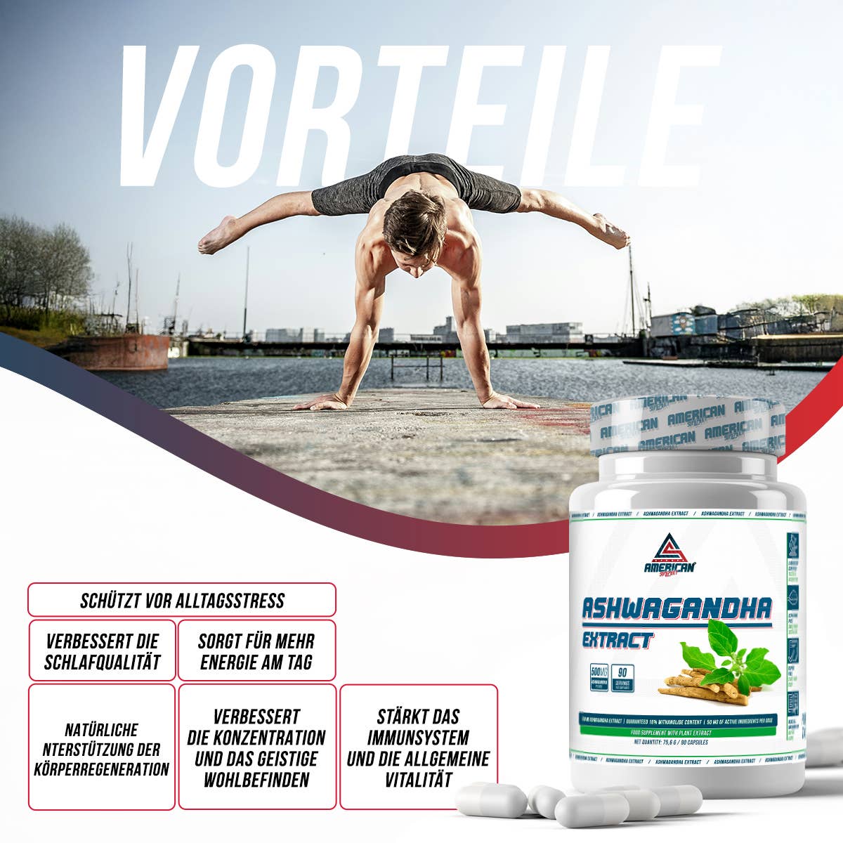 Ashwagandha Extract Premium 500 mg